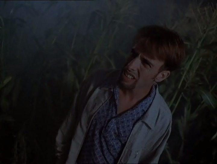 Кадр из фильма Дети кукурузы 5: Поля страха / Children of the Corn V: Fields of Terror (1998)