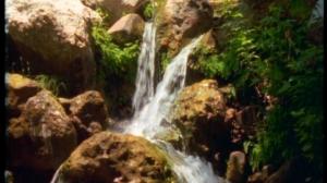 Кадры из фильма Playboy - Wet And Wild - The Complete Collection (2002)