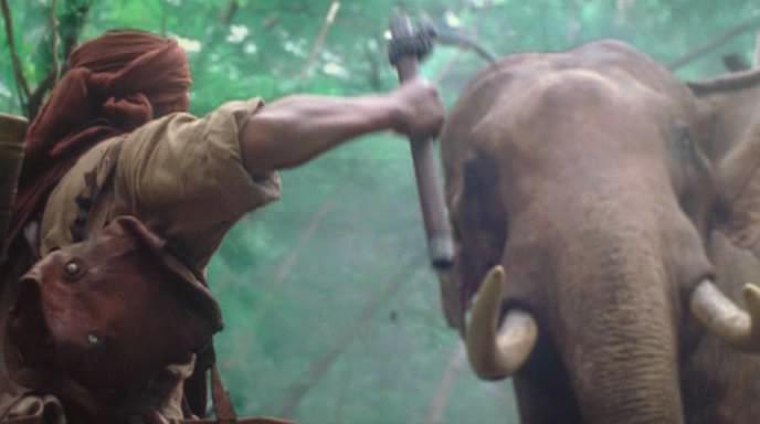 Кадр из фильма Легенда о тигрице / Tigress of King River (2002)