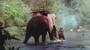 Кадры из фильма Легенда о тигрице / Tigress of King River (2002)