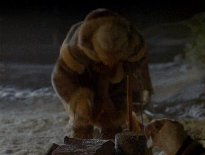 Кадр из фильма Снежный гонщик / Kevin of the North (2001)