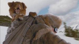 Кадры из фильма Снежный гонщик / Kevin of the North (2001)