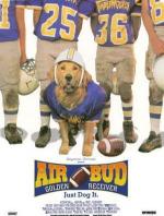 Король воздуха: Золотая лига (Золотой мяч) / Air Bud: Golden Receiver (1998)