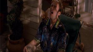 Кадры из фильма Американский пирог 2 / American Pie 2 (2001)