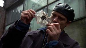 Кадры из фильма Американские драконы / American Dragons (1998)
