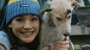 Кадры из фильма Пекинский рок / Bak Ging lok yue liu (2001)