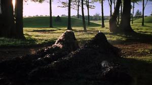 Кадры из фильма Отряд спасения / Rogue force (1998)