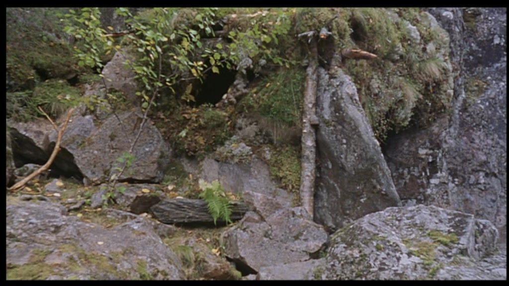 Кадр из фильма Томми и Кыся / Poika ja ilves (1998)