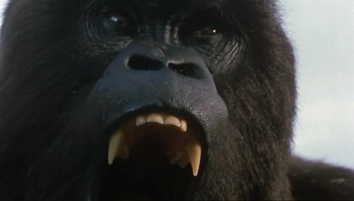 Кадр из фильма Могучий Джо Янг / Mighty Joe Young (1998)