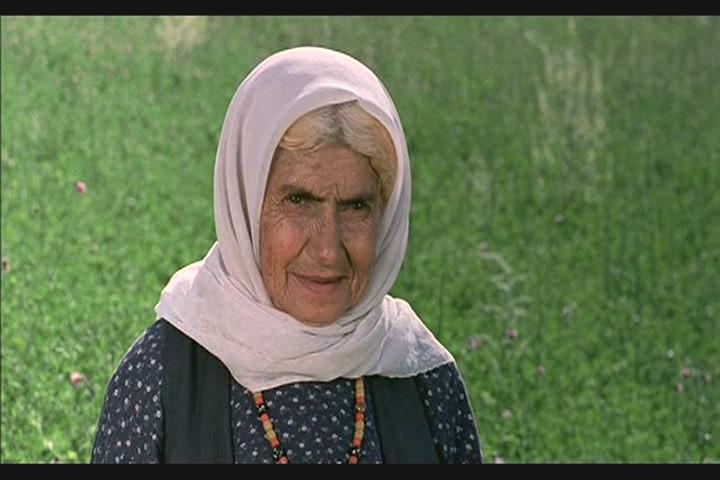 Кадр из фильма Цвет Рая / Rang-e khoda (1999)