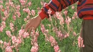 Кадры из фильма Цвет Рая / Rang-e khoda (1999)