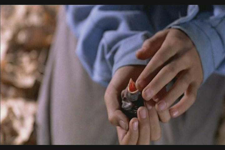 Кадр из фильма Цвет Рая / Rang-e khoda (1999)