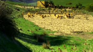 Кадры из фильма Ноев ковчег / Noah’s Ark (1999)
