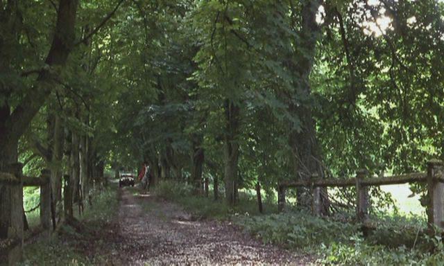 Кадр из фильма 8 1/2 женщин / 8 ½ Women (1999)