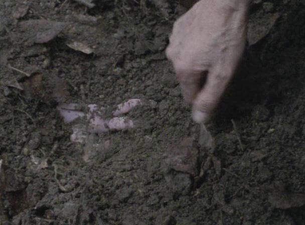 Кадр из фильма Мягко копать / Soft for Digging (2001)