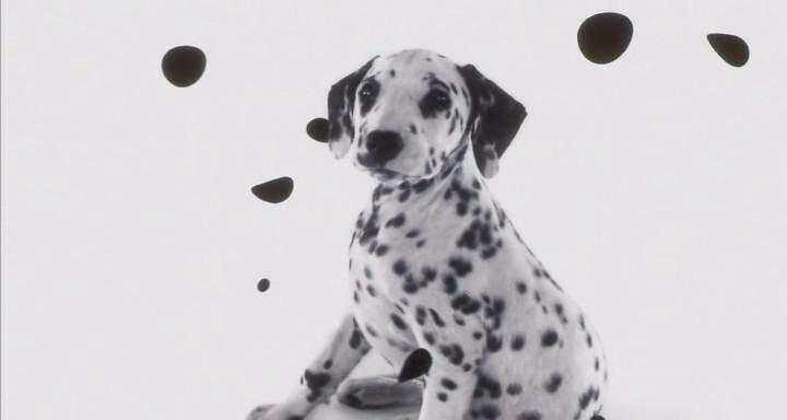 Кадр из фильма 102 Далматинца / 102 Dalmatians (2001)