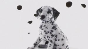 Кадры из фильма 102 Далматинца / 102 Dalmatians (2001)