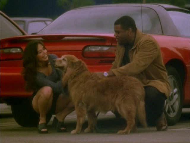 Кадр из фильма Габриэла / Gabriela (2001)