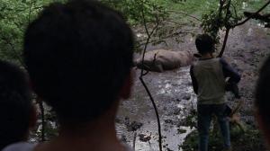 Кадры из фильма Болото / La Ciénaga (2001)