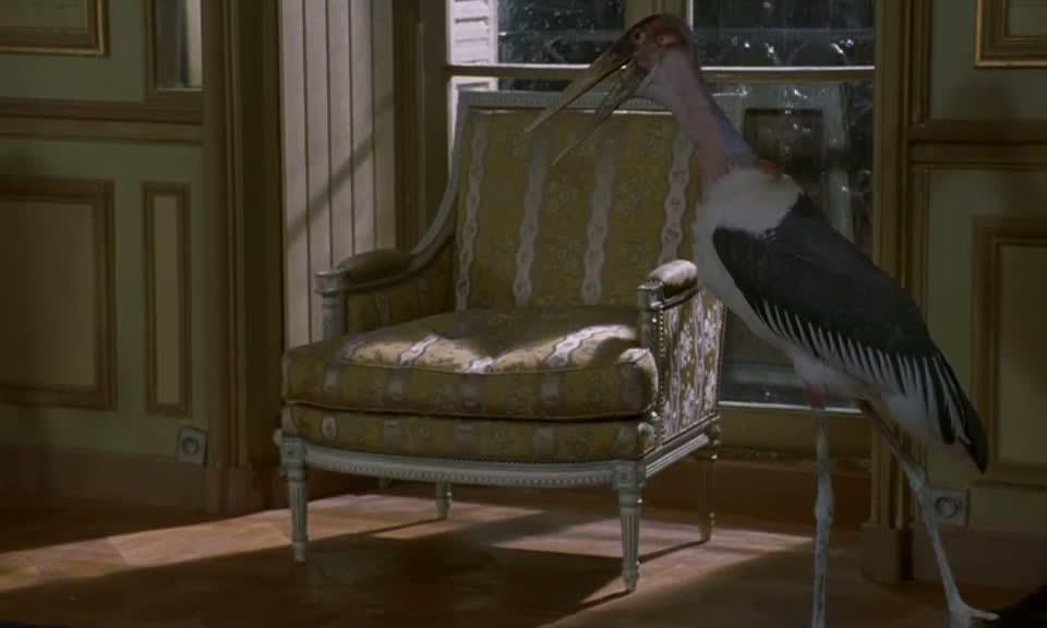 Кадр из фильма Истина в вине / Adieu, plancher des vaches! (1999)