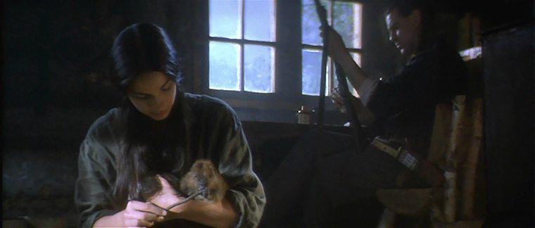 Кадр из фильма Серая сова / Grey Owl (1999)