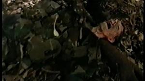 Кадры из фильма Тайна «Рубикона» / Code Red: The Rubicon Conspiracy (2001)