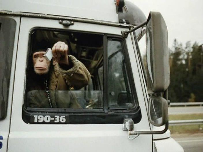 Кадр из фильма Нежный возраст (2000)