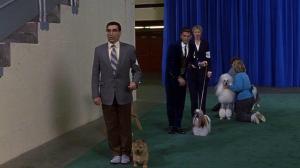 Кадры из фильма Победители шоу / Best in Show (2000)