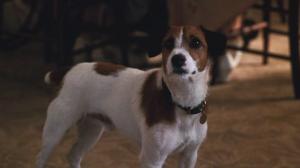 Кадры из фильма Мой пес Скип / My Dog Skip (2000)