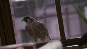 Кадры из фильма Власть страха / The Bone Collector (2000)