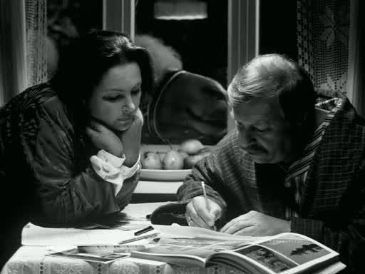 Кадр из фильма Большое животное / Duże zwierzę (2000)