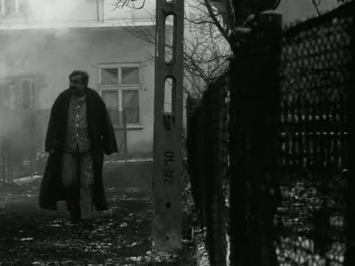 Кадр из фильма Большое животное / Duże zwierzę (2000)