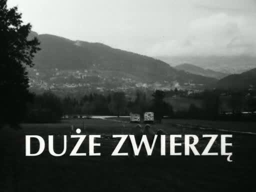 Кадр из фильма Большое животное / Duże zwierzę (2000)