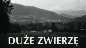 Кадры из фильма Большое животное / Duże zwierzę (2000)