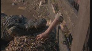 Кадры из фильма Крокодил / Crocodile (2000)
