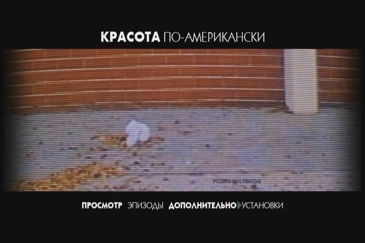 Кадр из фильма Красота по-американски / American Beauty (2000)