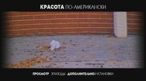 Кадры из фильма Красота по-американски / American Beauty (2000)