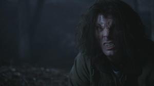 Кадры из фильма Волчонок / Teen Wolf (2011)