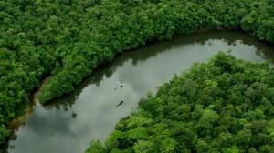 Кадры из фильма Гвиана / Guyane (2017)