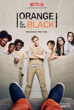Оранжевый — хит сезона / Orange Is the New Black (2013)
