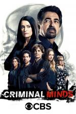 Мыслить как преступник / Criminal Minds (2005)