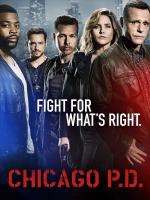 Полиция Чикаго / Chicago PD (2014)