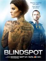 Слепая зона / Blindspot (2015)