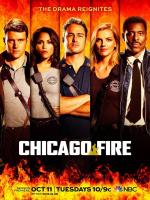 Пожарные Чикаго / Chicago Fire (2012)