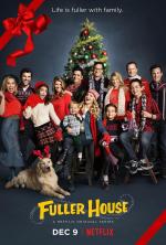 Более полный дом / Fuller House (2016)