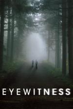 Очевидец / Eyewitness (2016)