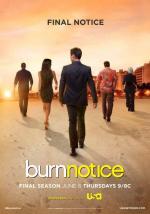 Черная Метка / Burn Notice (2009)