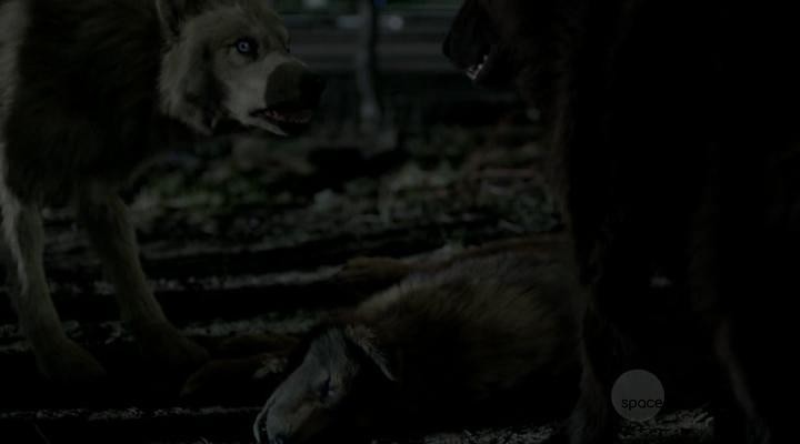 Кадр из фильма Укушенная / Bitten (2014)