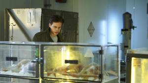 Кадры из фильма Хемлок Гроув / Hemlock Grove (2013)