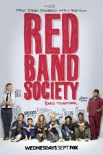 Красные браслеты / Red Band Society (2014)